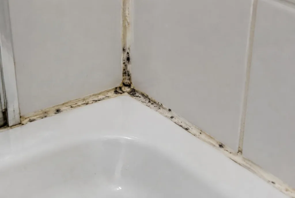 Kitbedrijf Waalwijk – beschimmelde kitranden